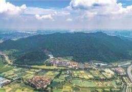 流(liú)量变現(xiàn)、产业躍(yuè)迁、城鄕(xiāng)共荣