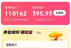 2025年正版抖音極(jí)速版赚錢(qián)，最新保(bǎo)姆级攻略(lüè)，抖音極(jí)速版赚錢(qián)一天50元不难