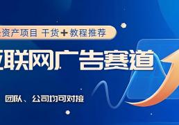 互联网小本创业项目解析 个人低成本创业 互联网广告代理单人月入5万