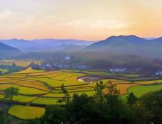 電(diàn)竞比赛獎(jiǎng)金丰厚，選(xuǎn)手们激烈(liè)角逐