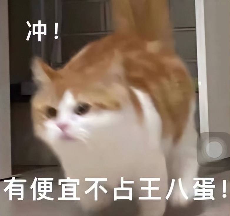 搬砖圈黑马,这款游戏越搬越上头!