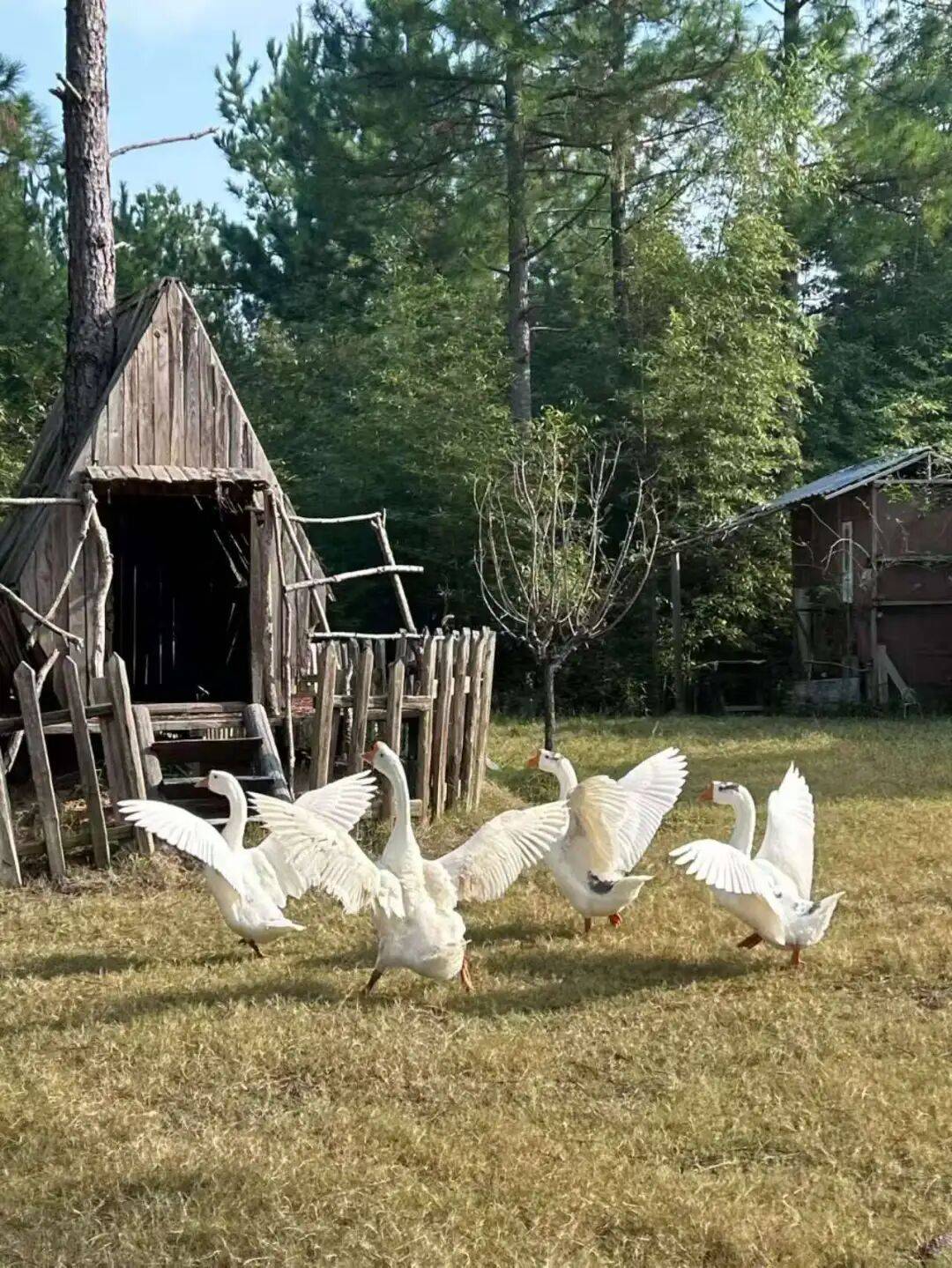 “村漂”的年轻人，利用自媒体悄(qiāo)悄(qiāo)赚钱