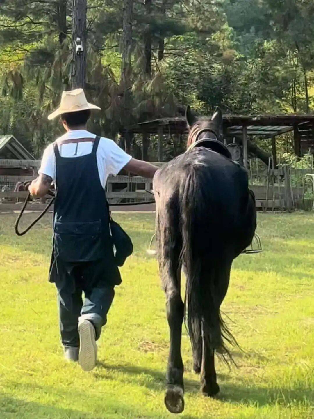 “村漂”的年轻人，利用自媒体悄(qiāo)悄(qiāo)赚钱